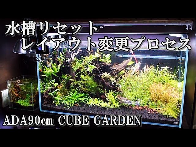 水槽リセット・レイアウト変更のプロセス【ADAｷｭｰﾌﾞｶﾞｰﾃﾞﾝ90series