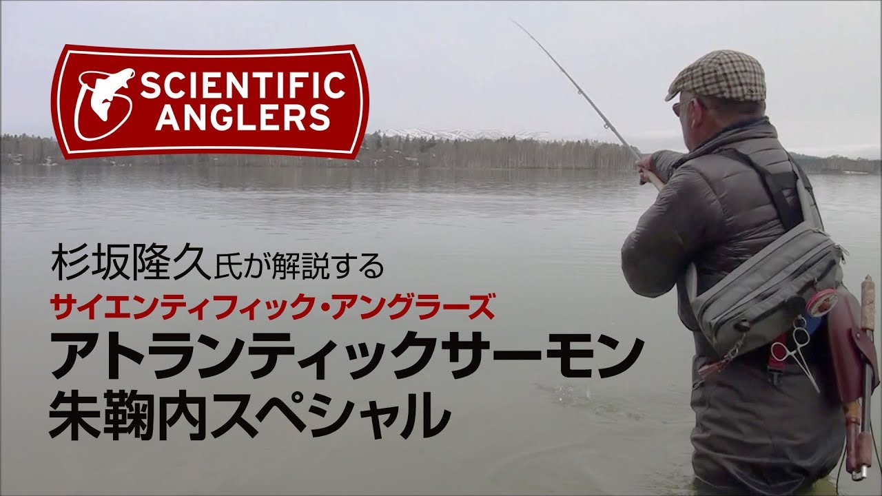 ご*ん様 フライラインAtlantic Salmon 朱鞠内SP フライラインAtlantic