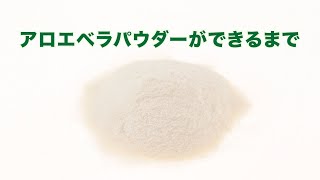 独自成分 ハーモニーグリーン 公式サイト
