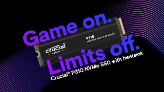 Crucial 500GB P310 PCIe 4.0 x4 M.2 Internal SSD CT500P310SSD8