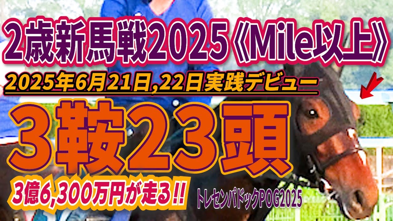 2歳新馬戦2025】ワクワクの3週目！3鞍出走23頭の若駒の姿を