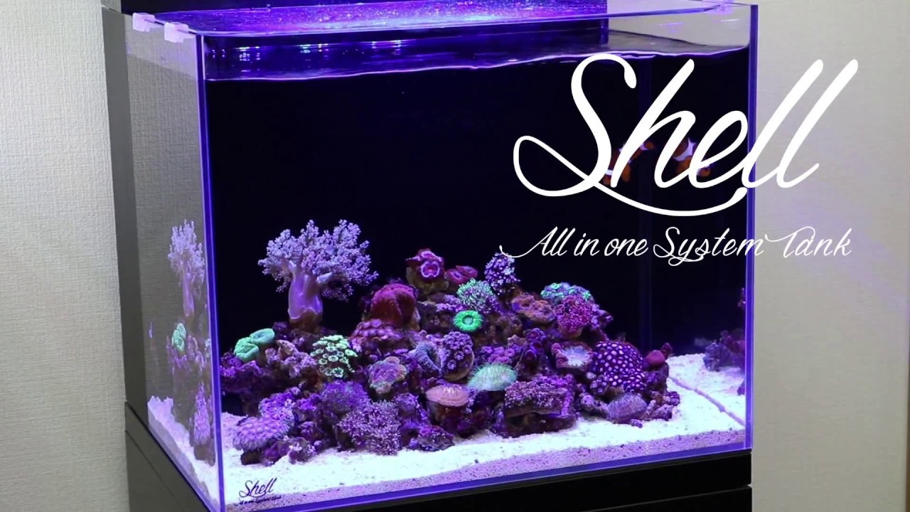 ORCA SHELLⅡ 水槽 + GEX水槽台 ORCA SHELLⅡ 水槽 + GEX水槽台