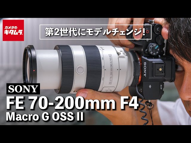 ソニー新製品】FE 70-200mm F4 Macro G OSS II｜ハーフマクロ撮影に