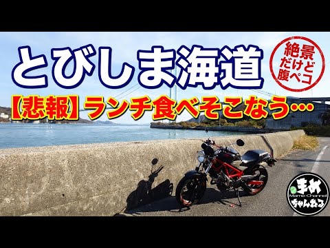 まめちゃんねる - YouTube
