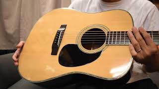 Morris W-50 - guitarshoptantan （ギターショップタンタン）