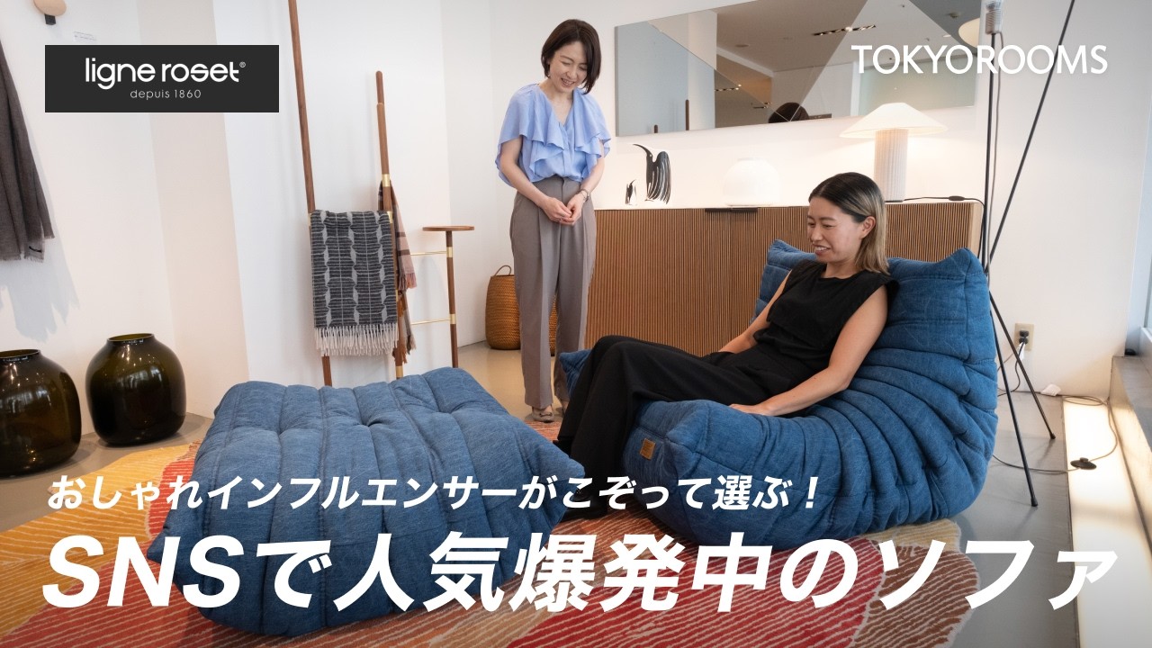 ligne roset リーン・ロゼ ROSETTogo ロゼトーゴ ソファ 発売50周年