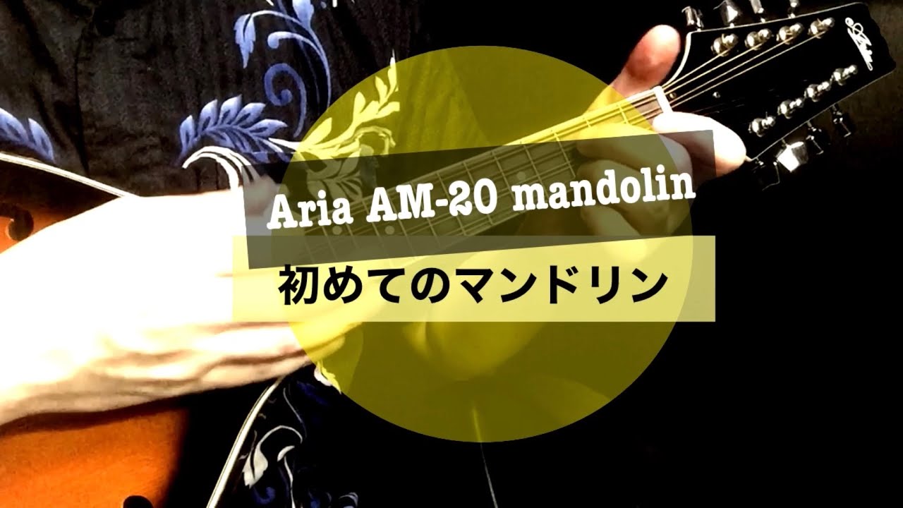中古で衝動買いしたフラットマンドリン「Aria AM-20」をウクレレ