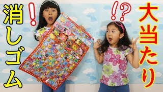 Big win! We all tried drawing all 106 variety eraser lottery