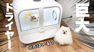 mqdefault.jpg