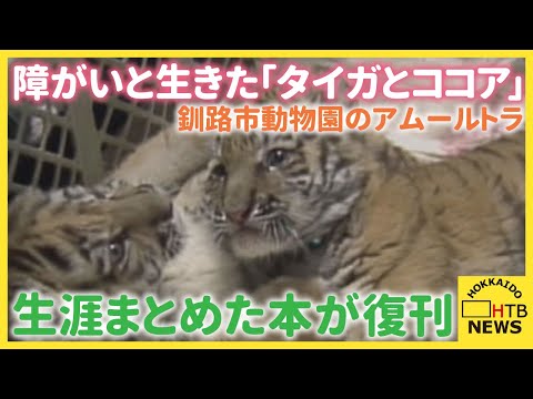 足に障がい抱えながら懸命に生きた2頭のアムールトラ「タイガとココア