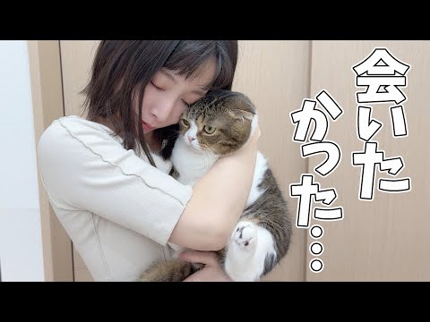 ママと再会できて嬉しさを爆発させる猫！ - YouTube