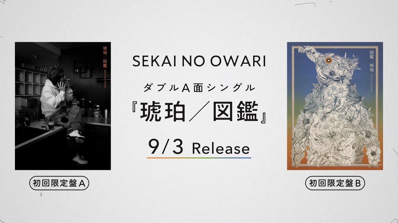 New Sg 「琥珀／図鑑」【初回限定盤 商品映像】 - YouTube