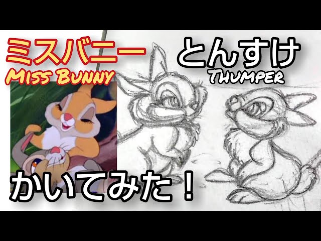 とんすけとミスバニーをかいてみた！ Drawing Thumper and Miss Bunny