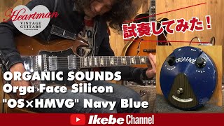 試奏してみた！】ORGANIC SOUNDS Orga Face Silicon 