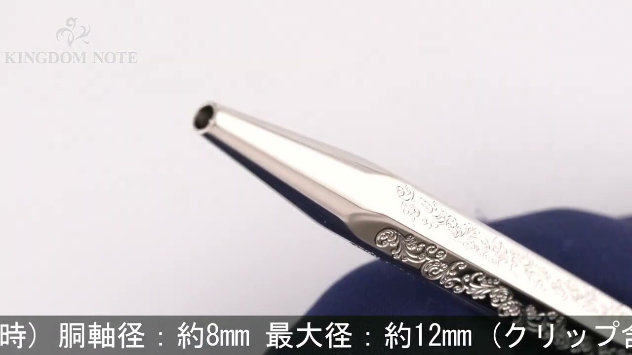 CARAN d'ACHE カランダッシュ ボールペン エクリドール 日本限定
