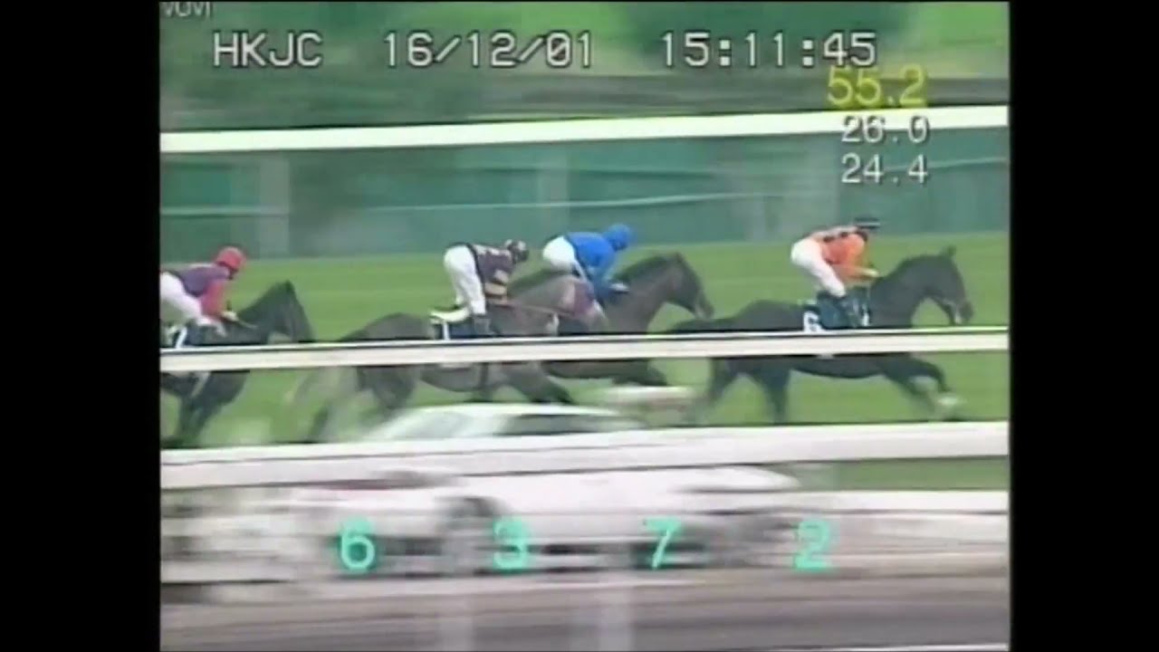 ステイゴールド 2001年香港ヴァーズ【黄金旅程】HD - YouTube