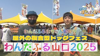 The 191st Outdoor Multi-purpose Dog Festival, Wonderful Yamaguchi