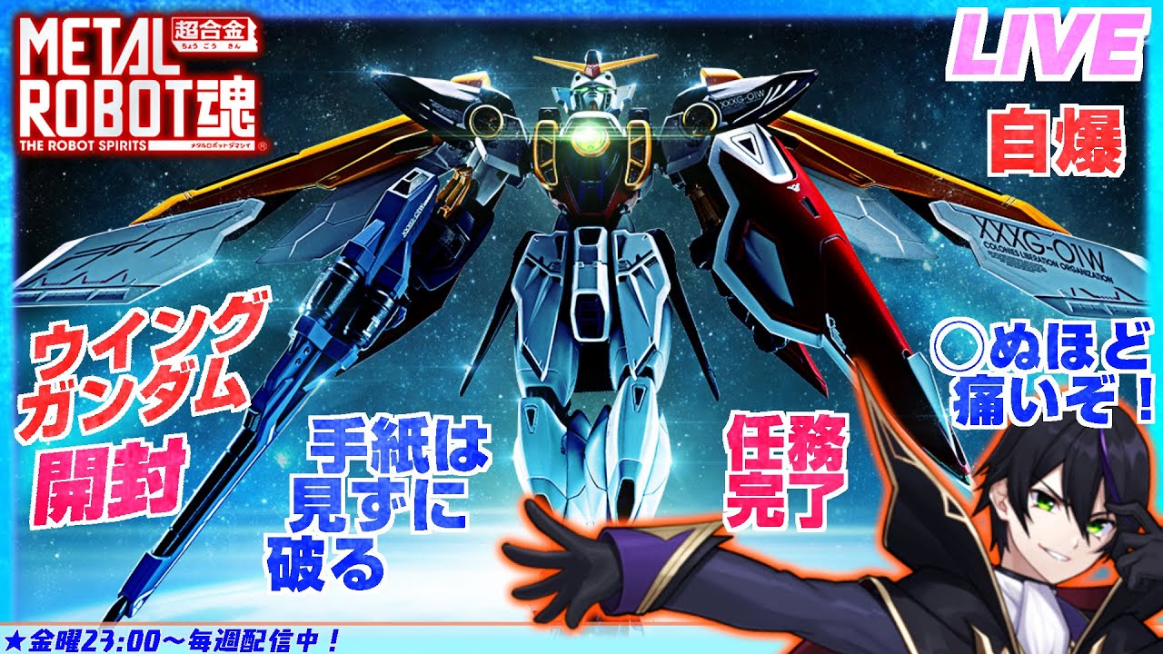 L ROBOT魂 ウイングガンダム 新品未開封 L ROBOT魂 ウイングガンダム 新品未開封 新品未開封 輸送箱未開封