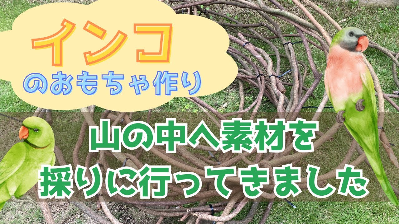 展示用】破壊大好きさんの自然木バードアスレチック - 鳥豆堂