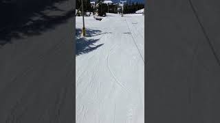 Jasey-Jay Anderson C4 (now Big Snowboards G4) | Snowboarding Forum