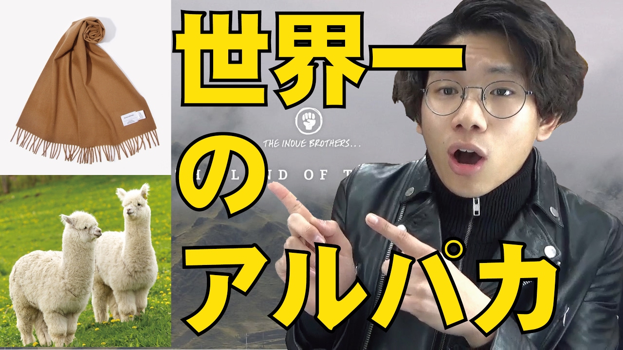 Scarf] The softest touch ever! Introducing the world's best alpaca