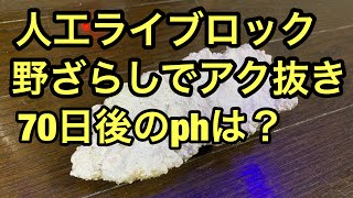 mqdefault.jpg