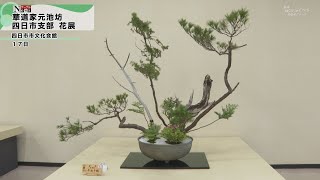 ケーブルNews】華道家元池坊四日市支部 花展 - YouTube