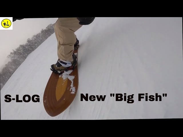 S-LOG 2021 New Big Fish - YouTube