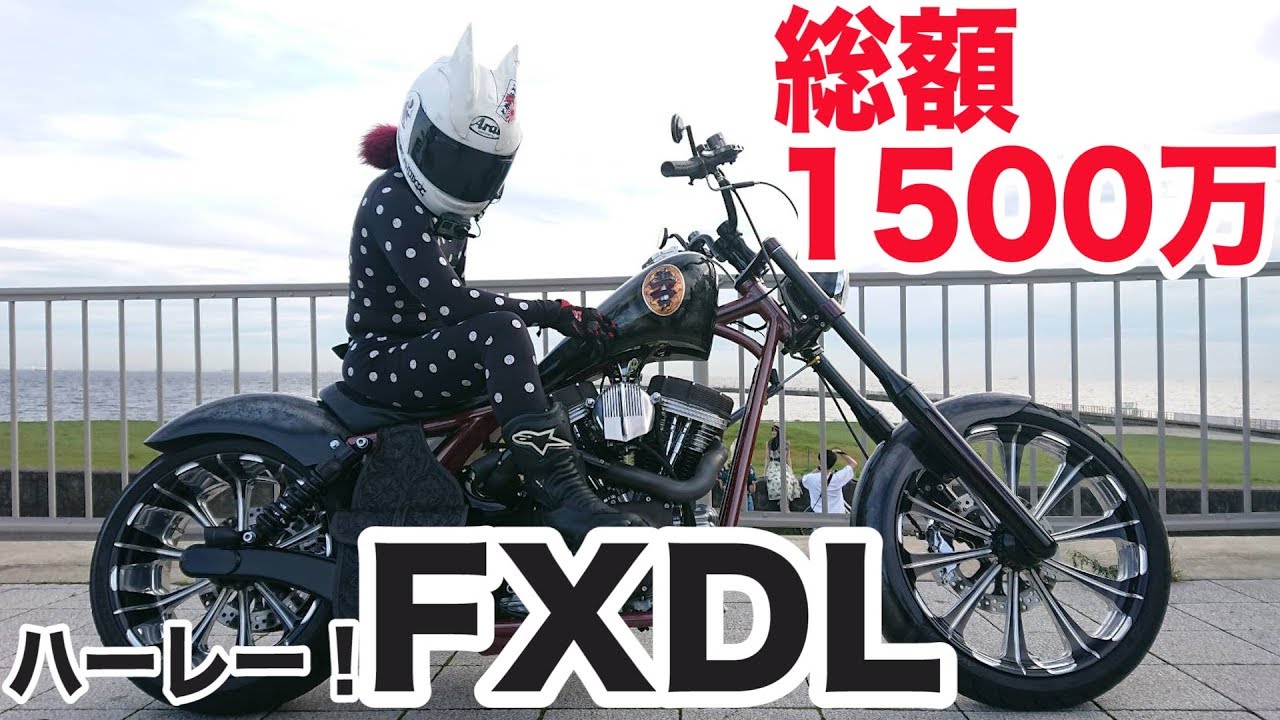A total customization cost 15 million yen!? The Harley that even