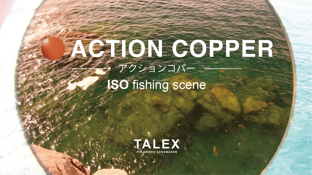 アクションコパーの見え方｜磯編【TALEX公式】 - YouTube