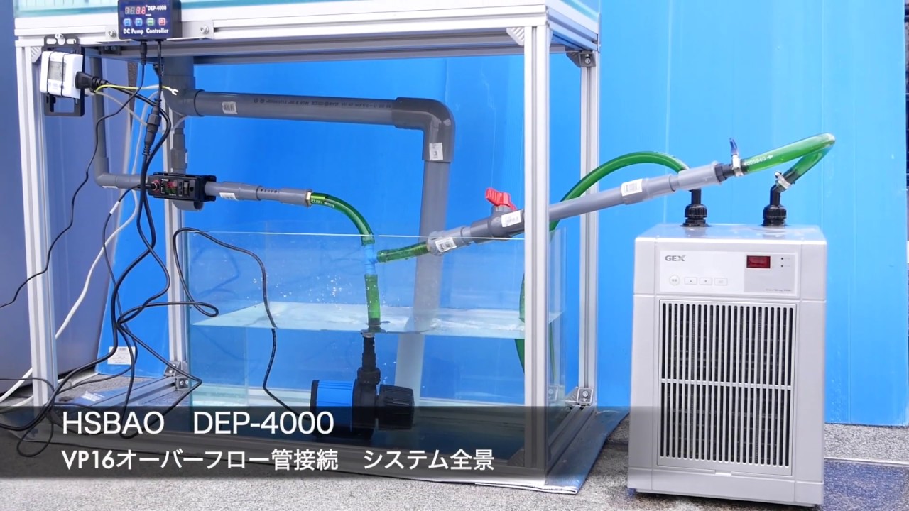 hq720.jpg?sqp=-