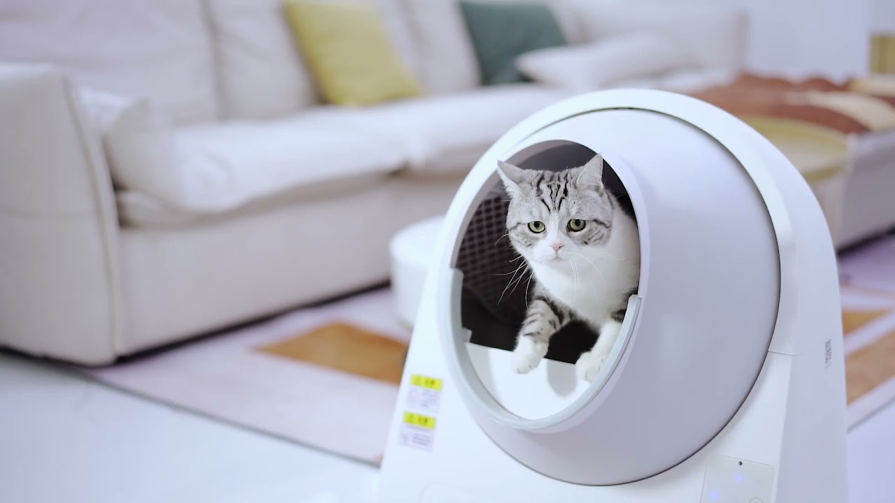 自動猫トイレ CATLINK SCOOPER（キャットリンクスクーパー） - YouTube