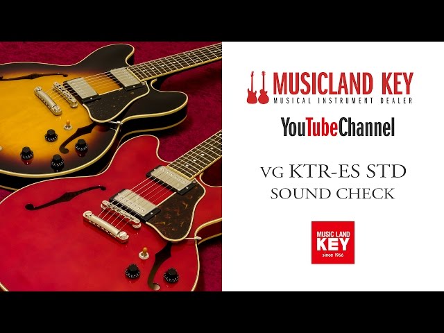 ギター VG Key to the Rock 45E ギター VG Key to the Rock 45E ギター VG