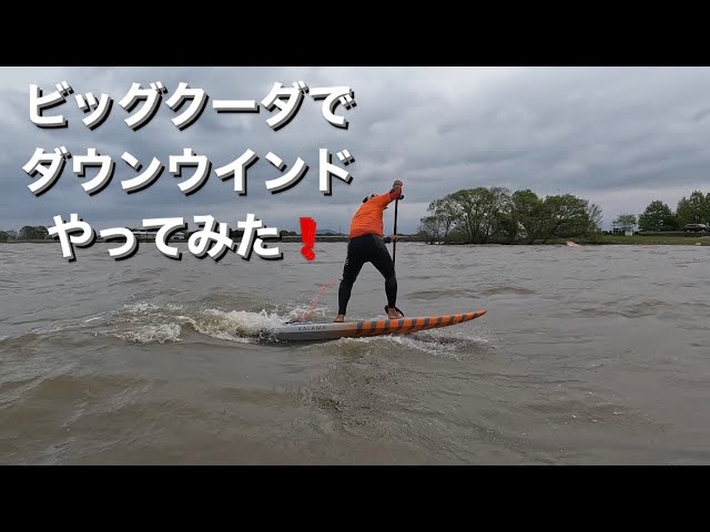 Kalama Mini Cuda KALAMA ビッククーダ 8，7-24-6 130L Downwind SUP
