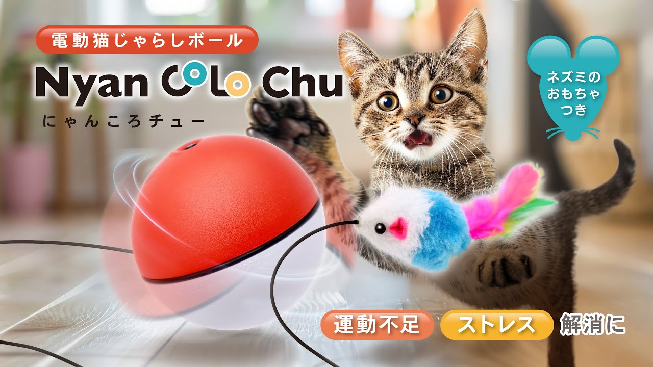AXL-766】電動猫じゃらしボール にゃんころチュー - YouTube