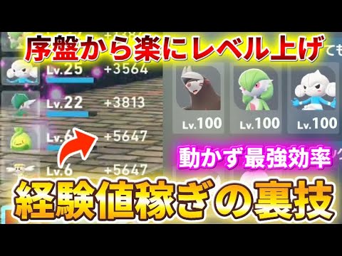 Pokemon ZA] No movement required! A secret trick for the fastest