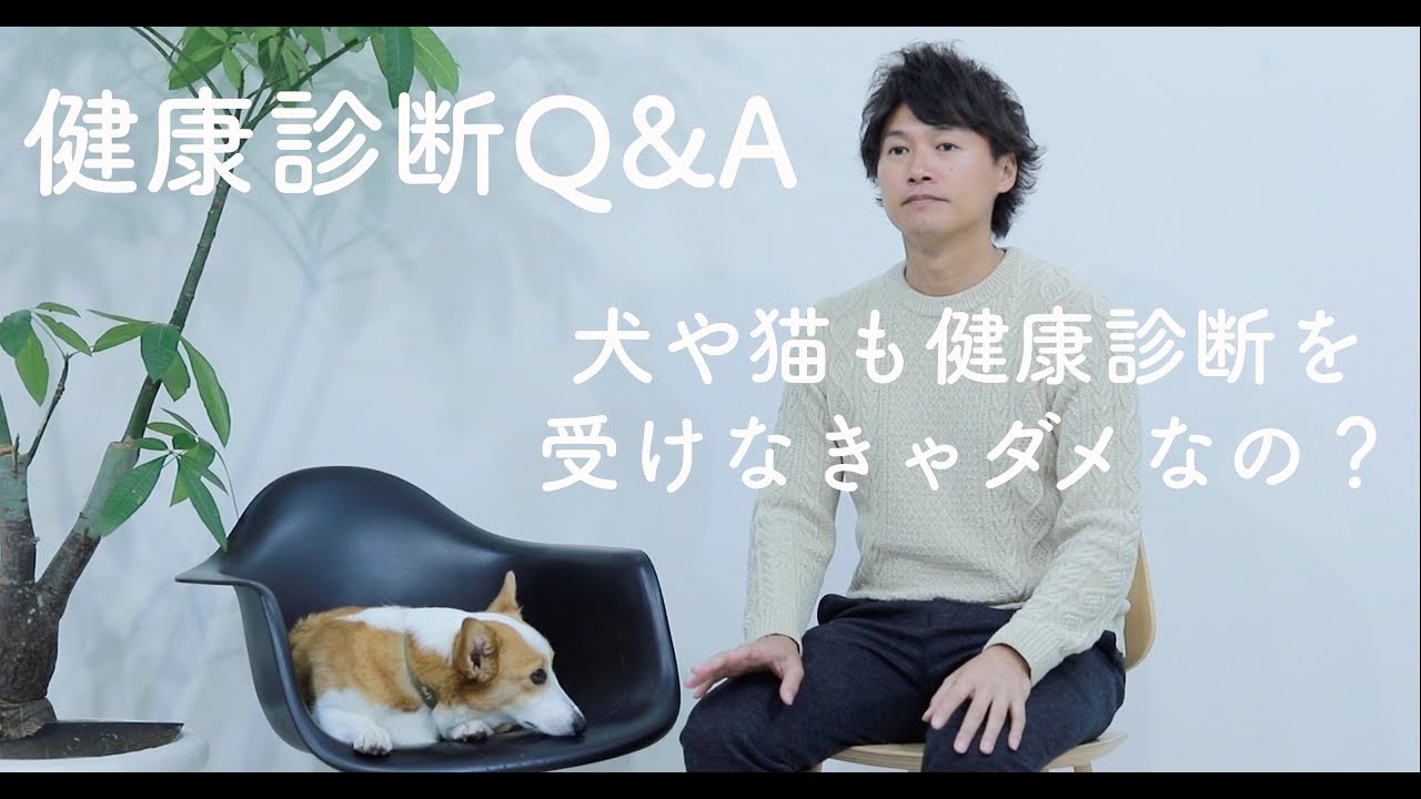 SA Medicine BOOKS 犬と猫の検査・手技ガイド2019 私はこう読む【動物