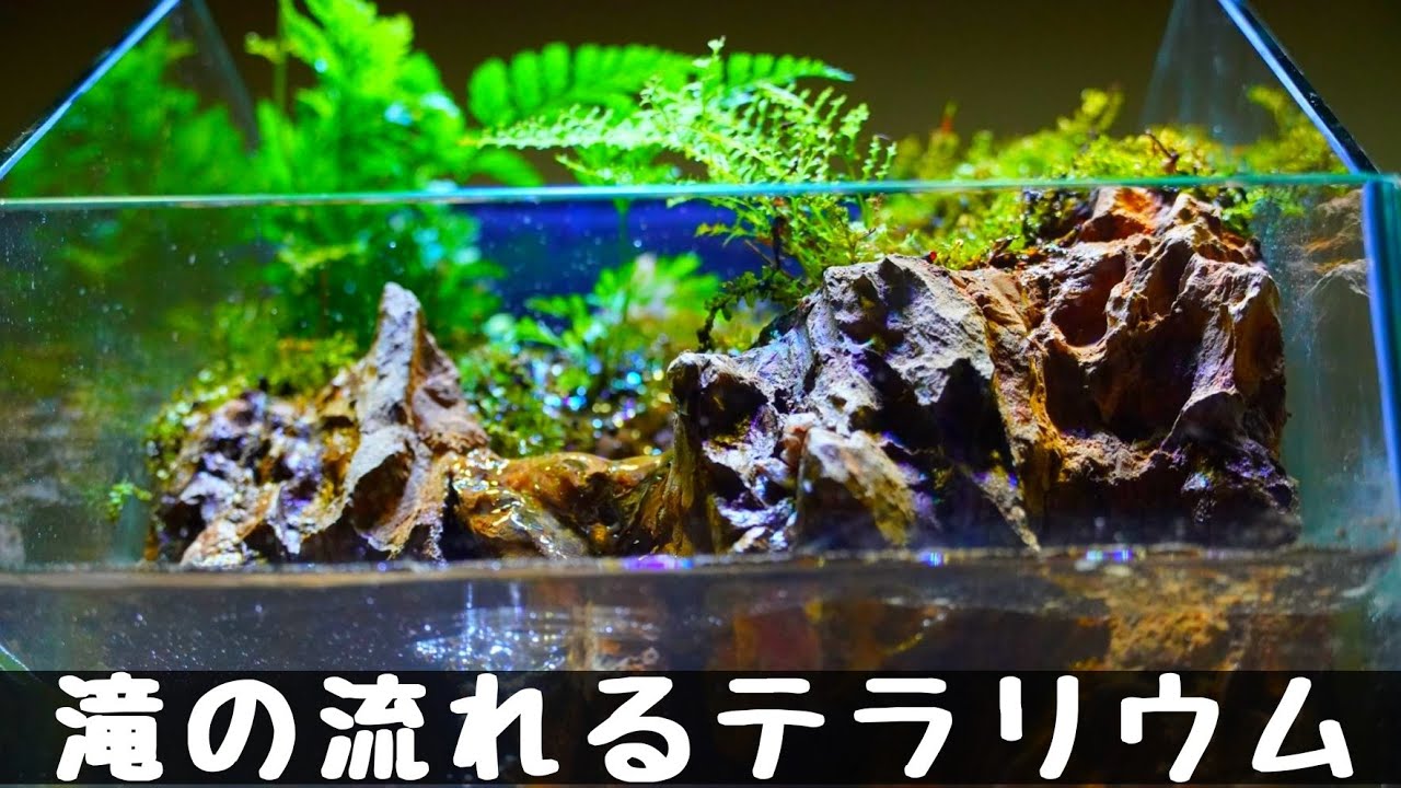 滝の流れるアクアテラリウムの作り方【part72】 How to make an