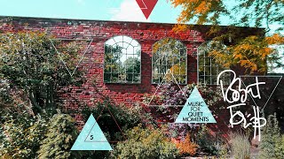 Robert Fripp - Music For Quiet Moments 5 - Time Promenade (Date