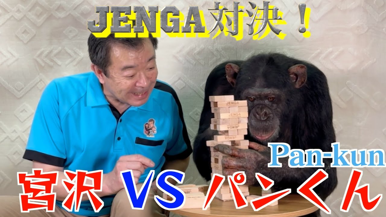 Chimpanzee Pan-kun is a very good person❗️Finally finished with