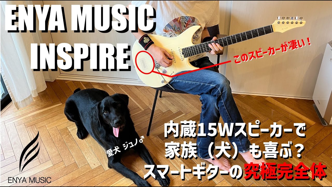 エフェクトやスピーカーの内蔵だけじゃない！】最新スマートギターPEOZ