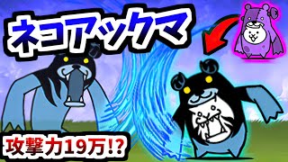 Fallen Bear Cat (Devil Egg : N006 TF) - Information & testing