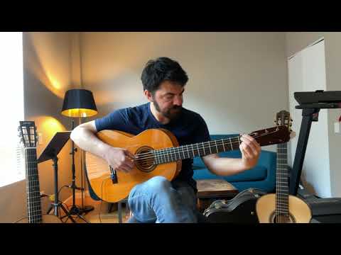 Guitar Pickup - Schertler DYN-G for acoustic guitar - AUDIO DEMO