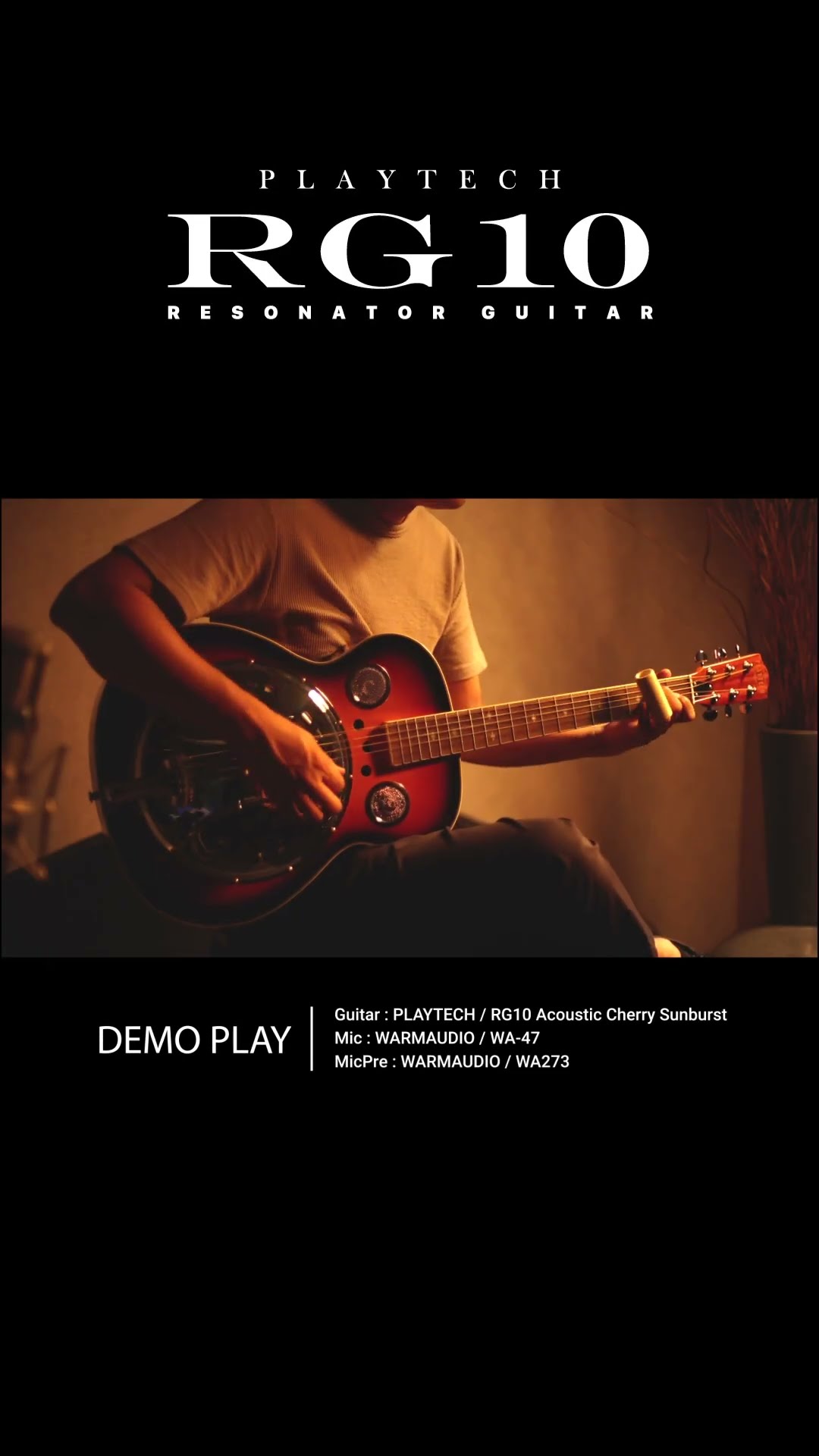 リゾネーターギター RG10 Acoustic Cherry Sunburst / PLAYTECH