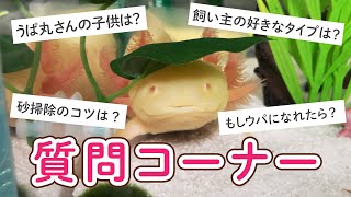 Question Corner] We answered many questions and inquiries from