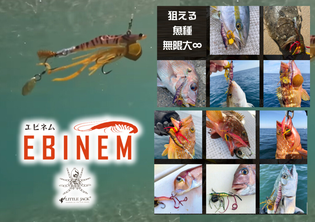 エビネム】新ジャンル⁉ 超リアル・エビ型ルアーを詳しく紹介【10g～80g