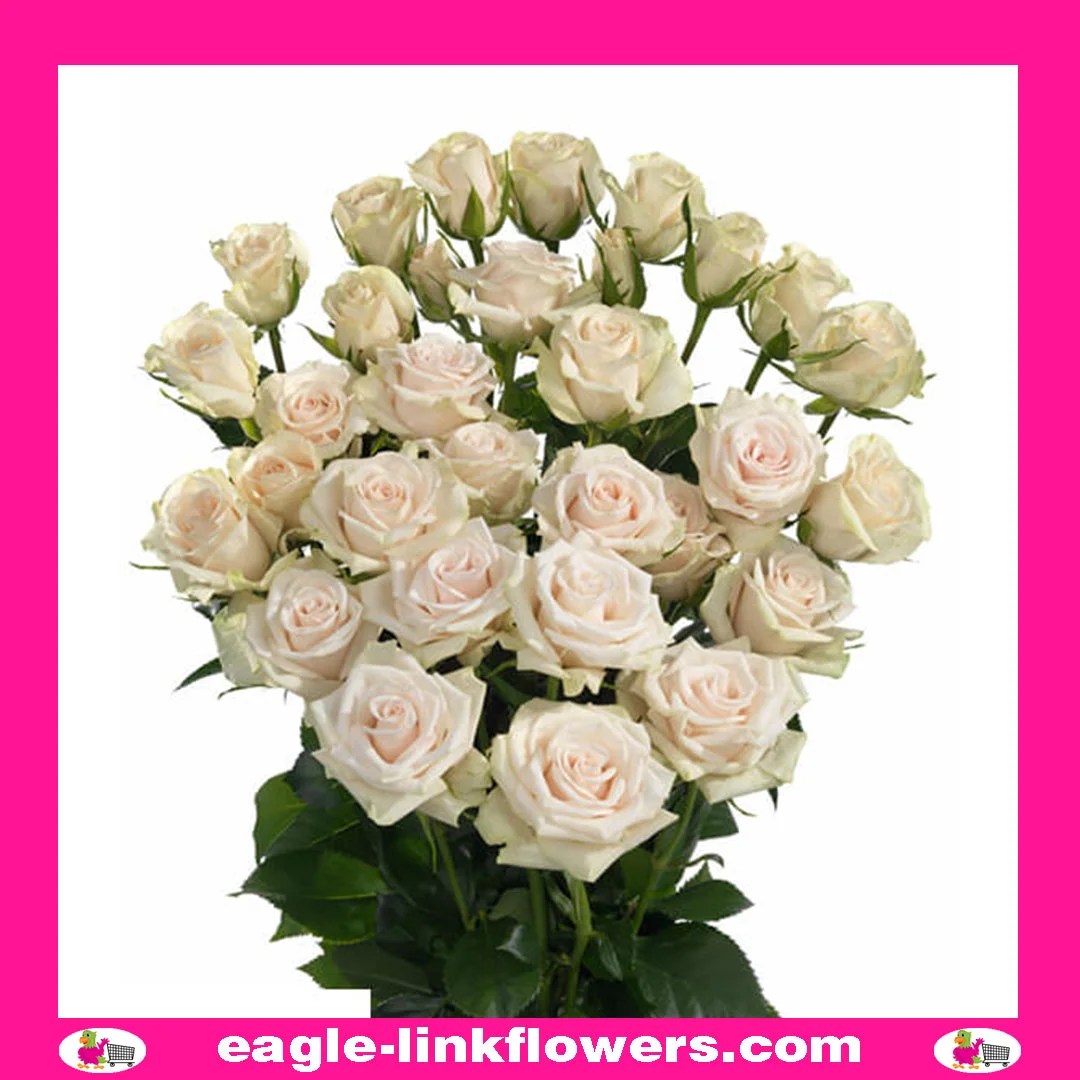 Wholesale flowers to Azerbaijan - Eagle-Link Flowers