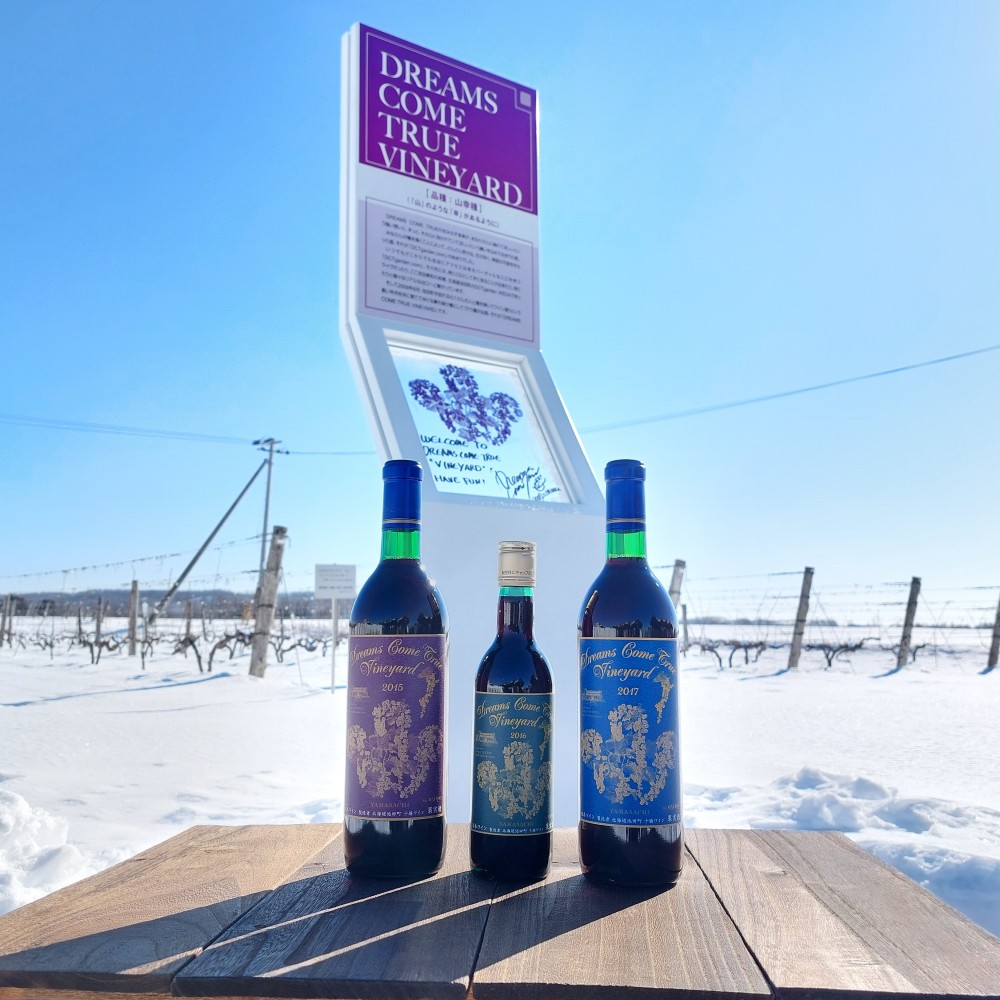 DREAMS COME TRUE VINEYARD 3ヴィンテージセット（2.10更新）／【公式