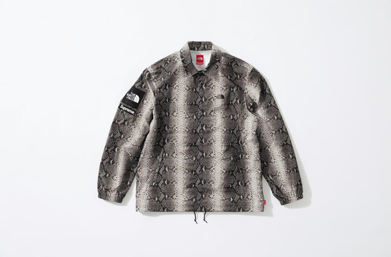 Supreme x The North Face Snake Print 2018 Collection | Hypebeast