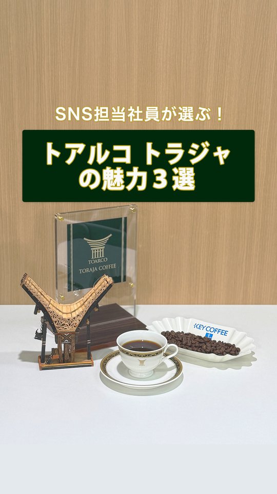 コーヒーの総合専門店】トアルコ トラジャ 豆 200g: コーヒーを探す